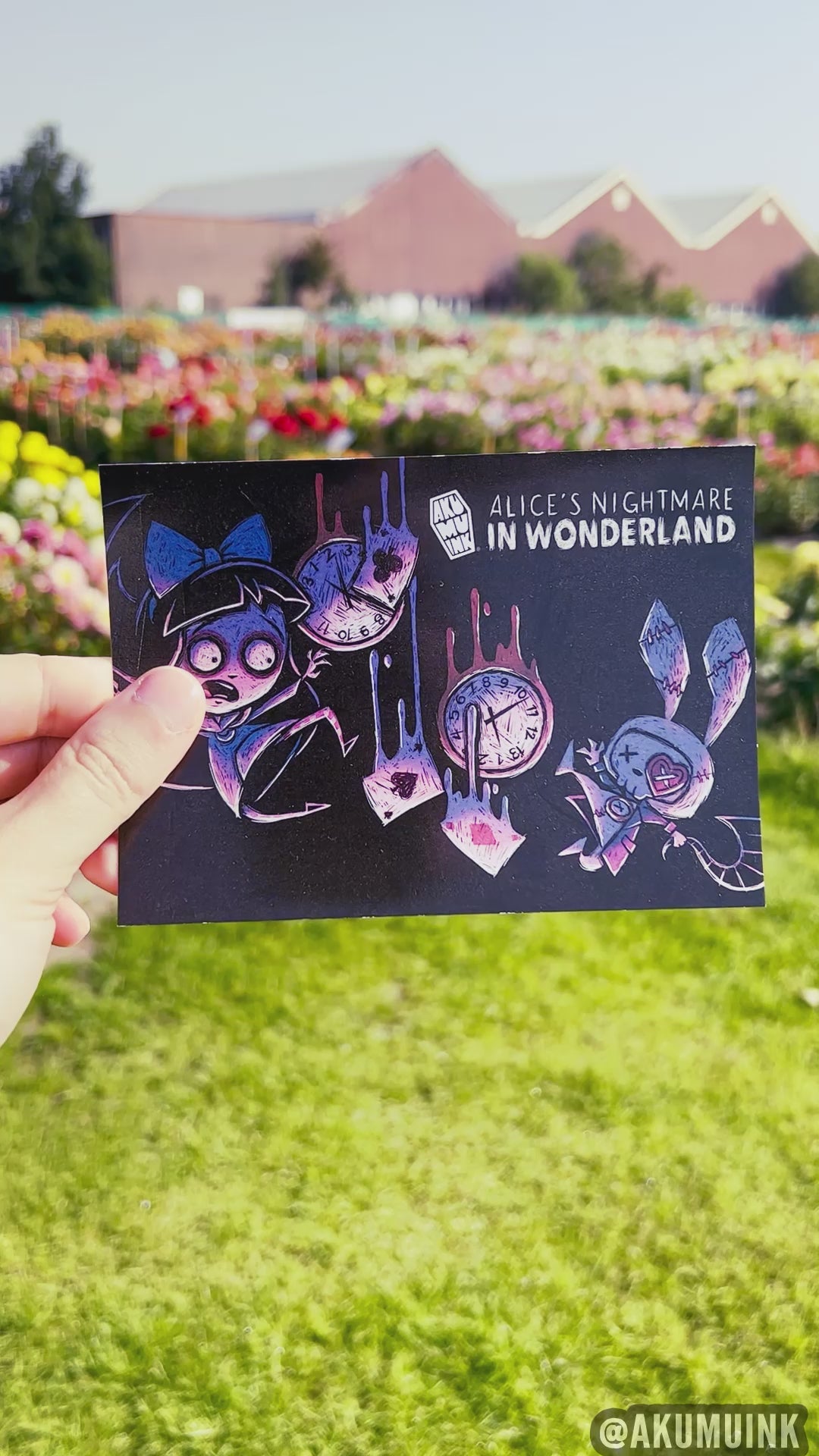 Alice Postcard Set